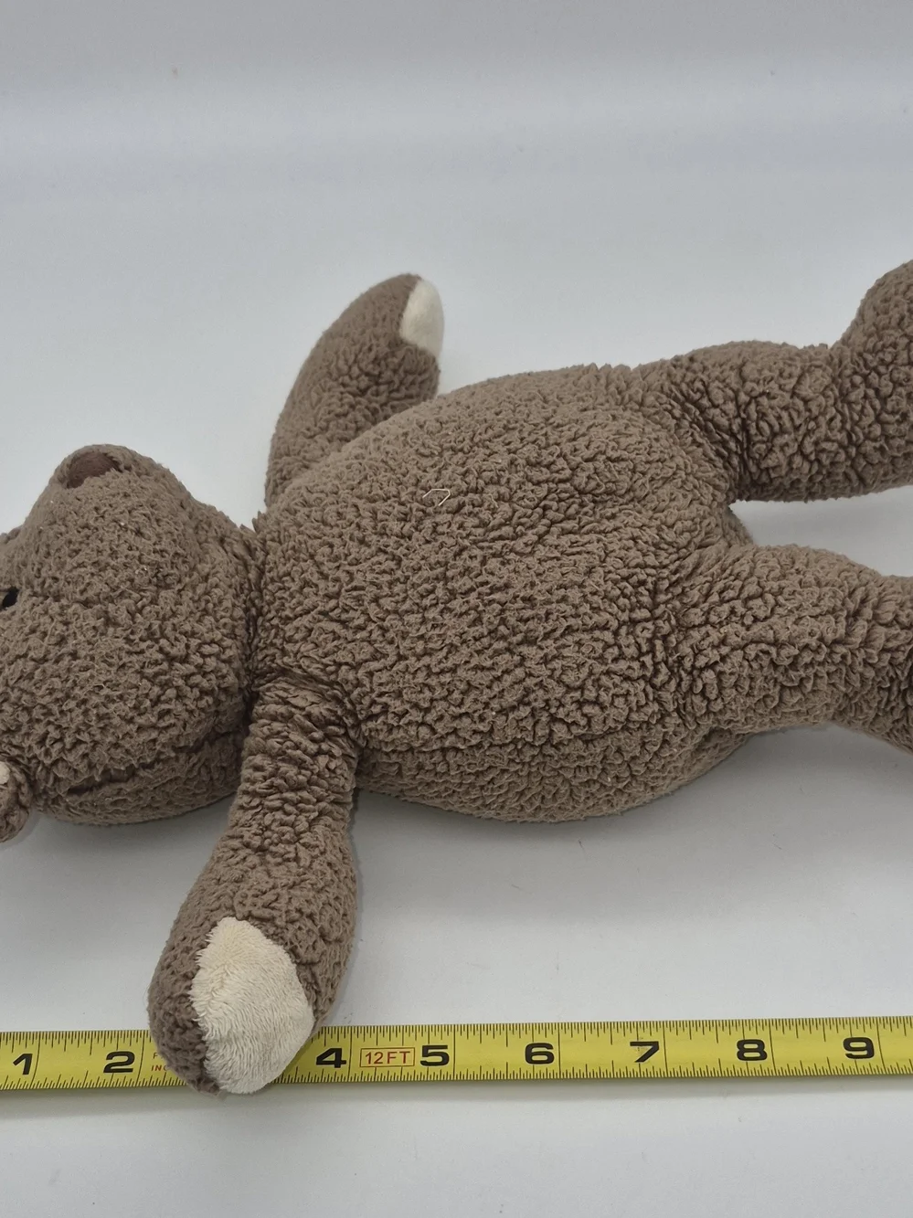 PBK Pottery Barn Plush Brown Teddy Bear with Cream Accents - Soft Cuddle Toy